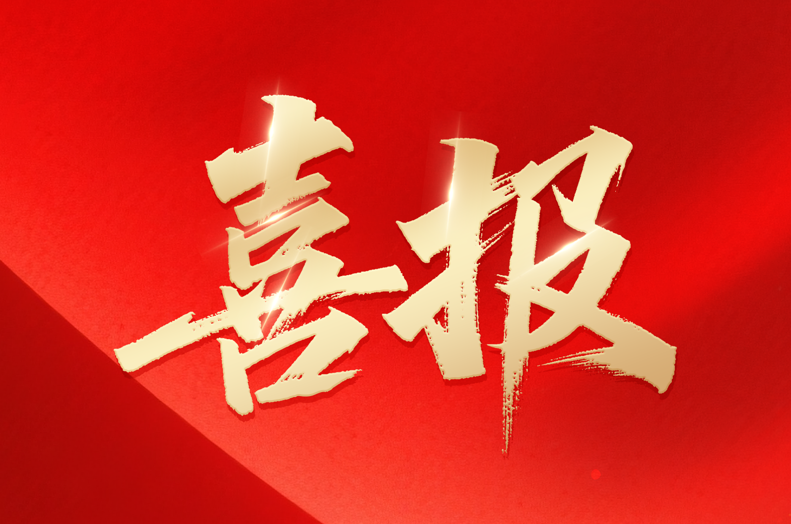 必赢亚洲在线｜喜报！公司荣获2024年拼搏奋进·衢州市长出格奖市当局质量奖