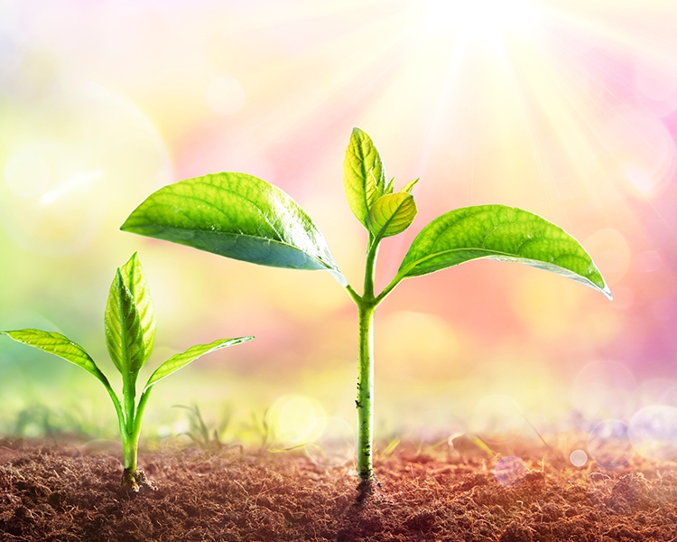 必赢亚洲·bwin(中国区)官方网站